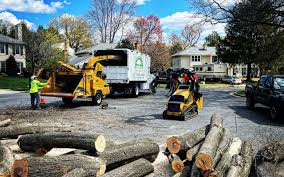 Mulching Services in Sonoma State University, CA